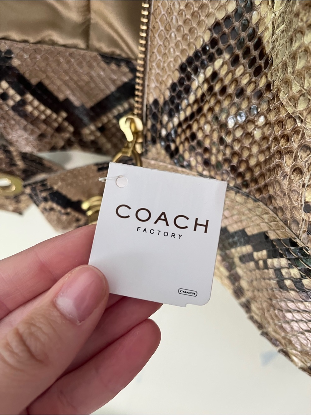 Genuine Python Coach jacket - Picture 2 of 16